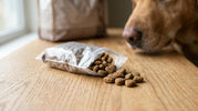 Thepets hundefoder med høj kødandel til voksne hunde