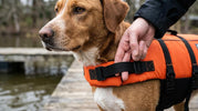 Thepets redningsvest til hunde med korrekt pasform