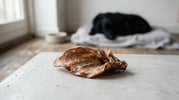 Thepets Snack'it hundegodbidder med protein og tyggeglæde