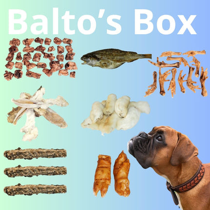 Balto´s Box