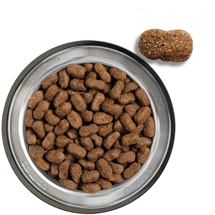 BelcandO Lam & Ris - thepets.dk