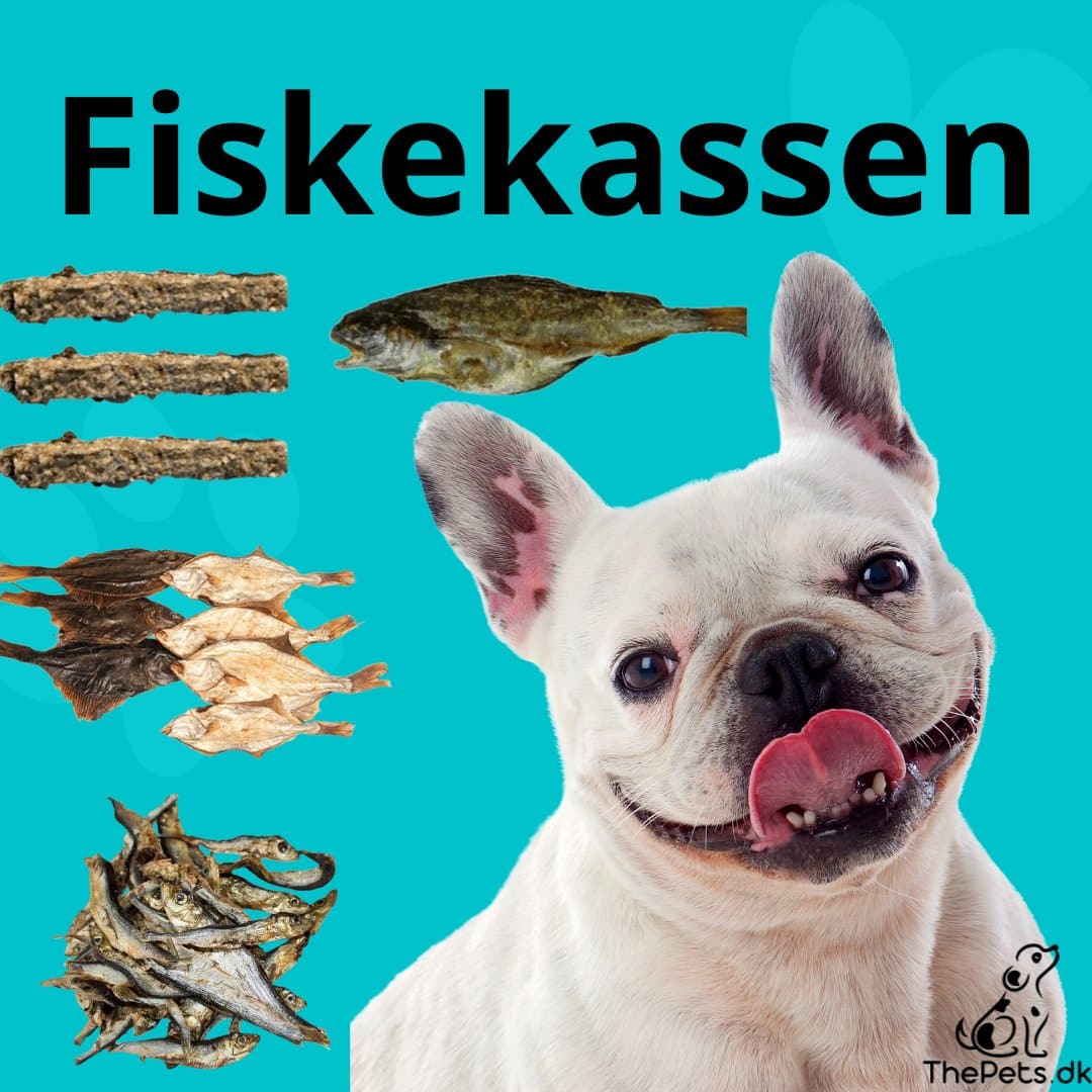 Fiskekassen - thepets.dk