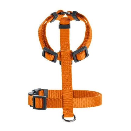 Hunter Sele London VR Orange - thepets.dk