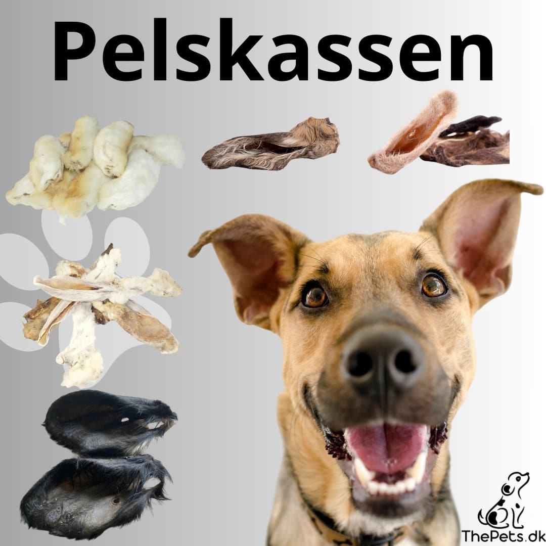 Pelskassen - thepets.dk