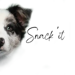 En fluffy sort-hvid hvalp med udtryksfulde øjne.